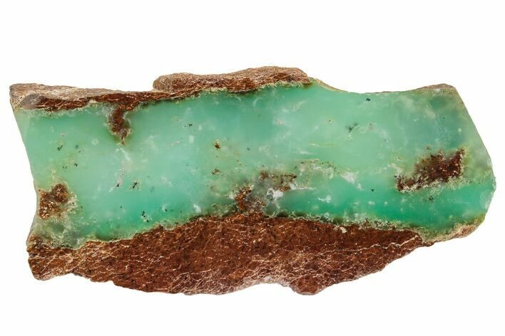 Polished Green Chrysoprase Slab - Western Australia #239706